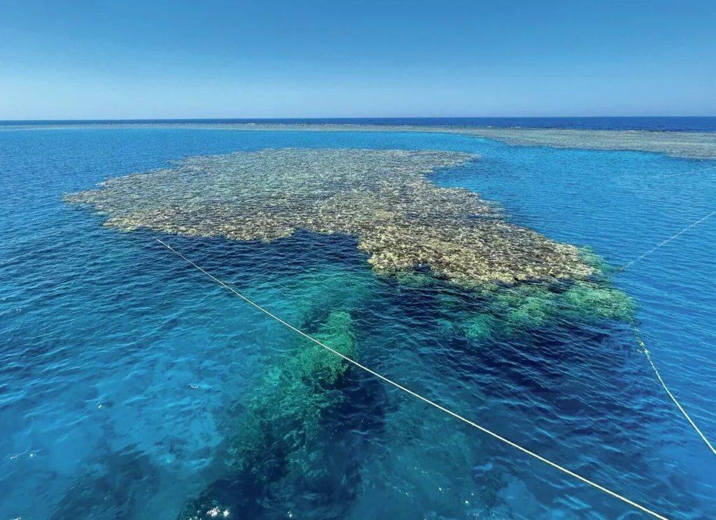 Reefs often reach to just below the surface in the Red Sea
