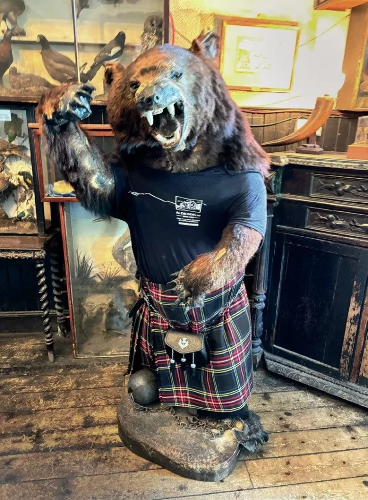 Bear Mascot in Kinlochmoidart House