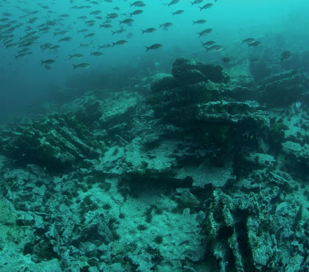 Dramatic volcanic reef formations beneath the Galapagos Islands