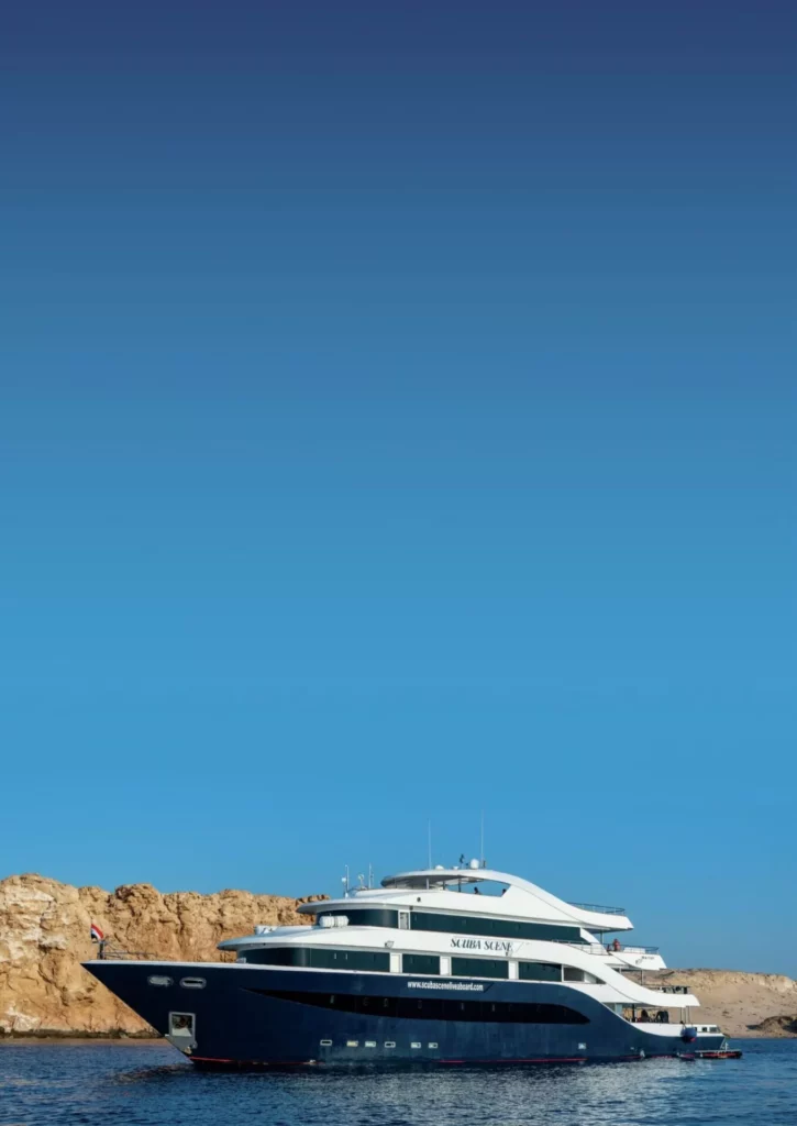 The All Star Scuba Scene liveaboard diving vessel in the Egyptian Red Sea