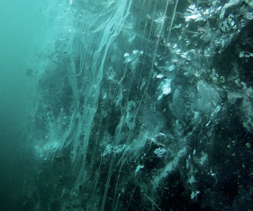 Iceberg Diving in Greenland: Beauty, Danger and Essential Safety Protocols 4 Clear blue glacier ice revealed during iceberg dive in Greenland fjords