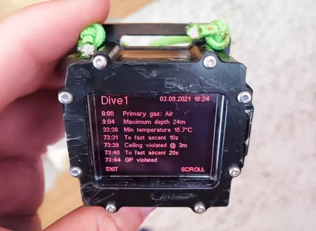 Computer summary of the fatal dive