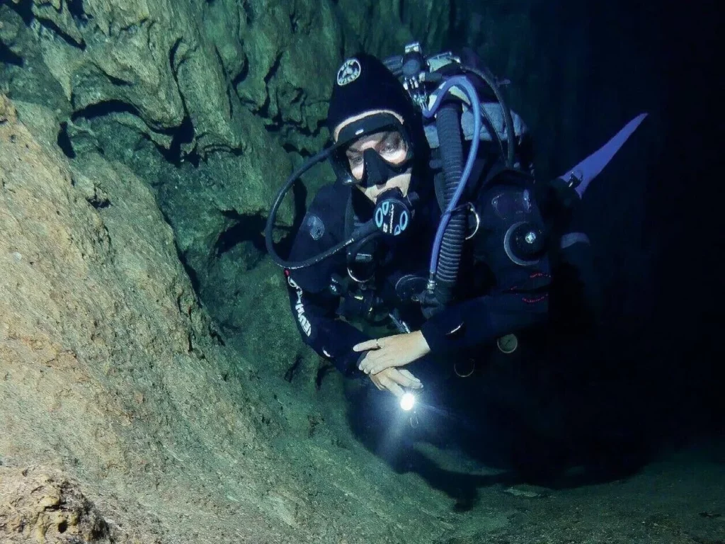 Elephant bones embedded in the rock