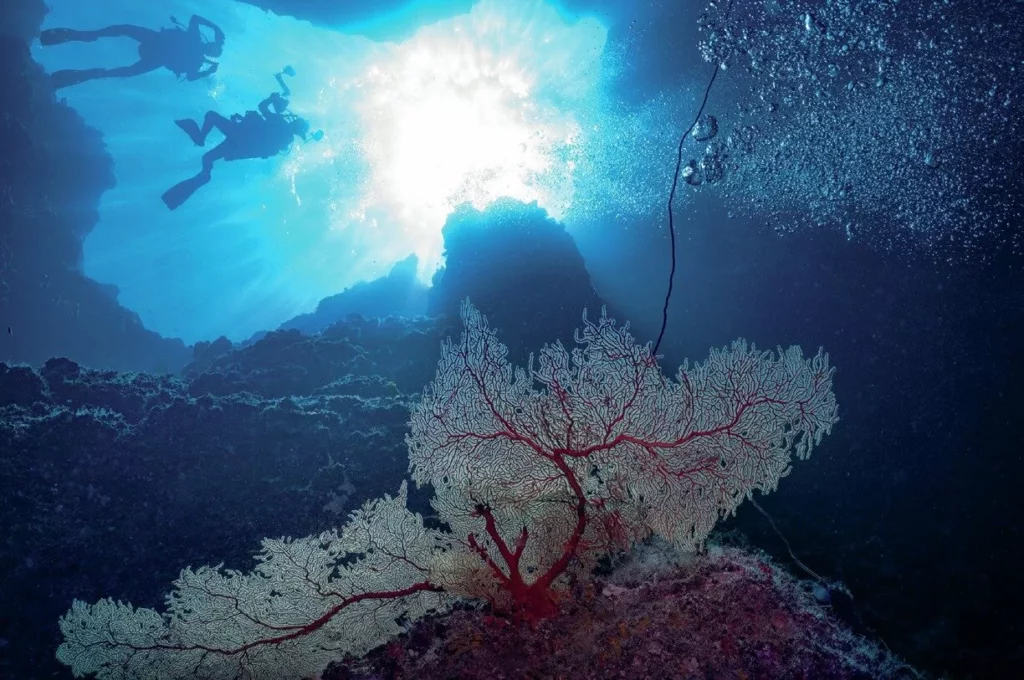 Divers exploring light-filled caverns at the Blue Holes dive site in Palau