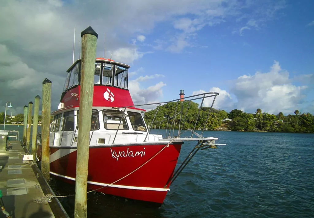 Kyalami at the dockside (John Christopher Fine 2026)