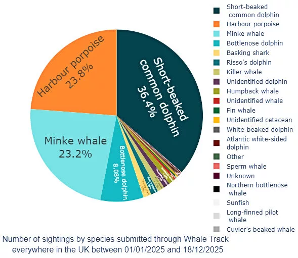 Sightings by species (HWDT)