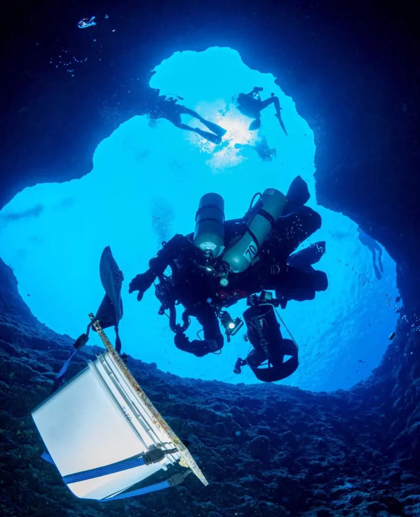 The divers retrieved 13 ARMS in Guam (Susanne Baehr © California Academy of Sciences)