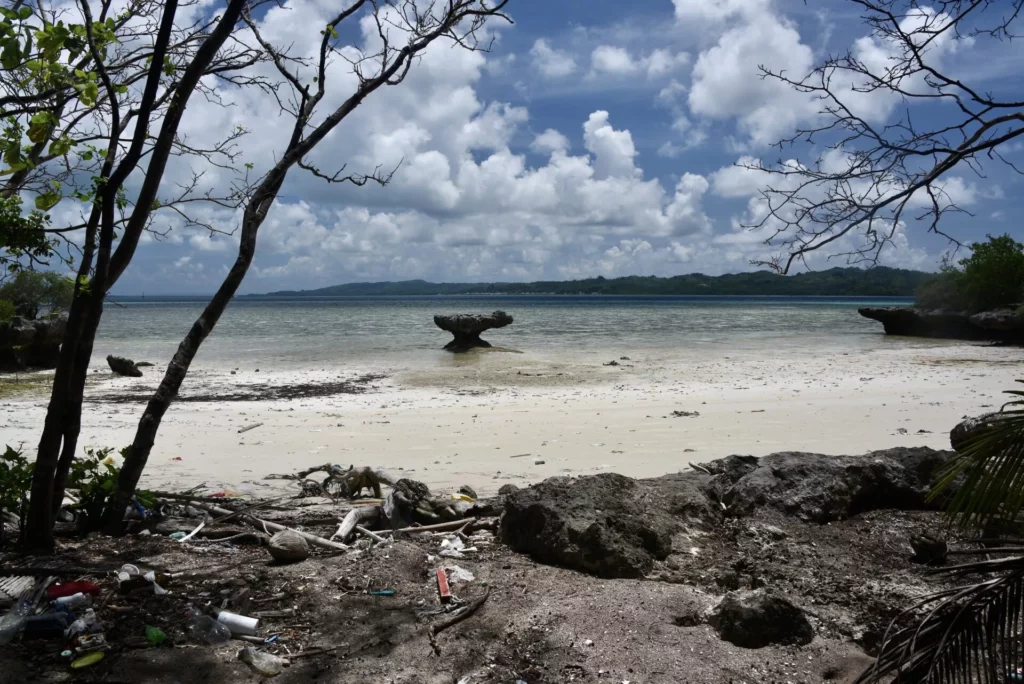 Beach view with coral mushroom