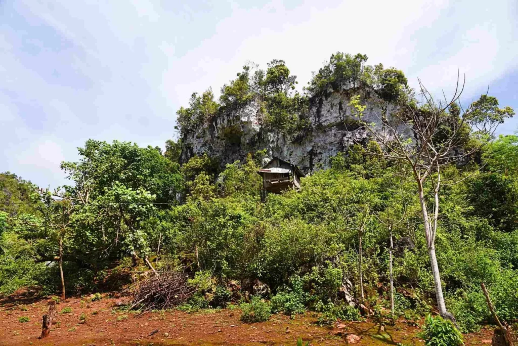 A karstic limestone outcrop, Liang Kabori