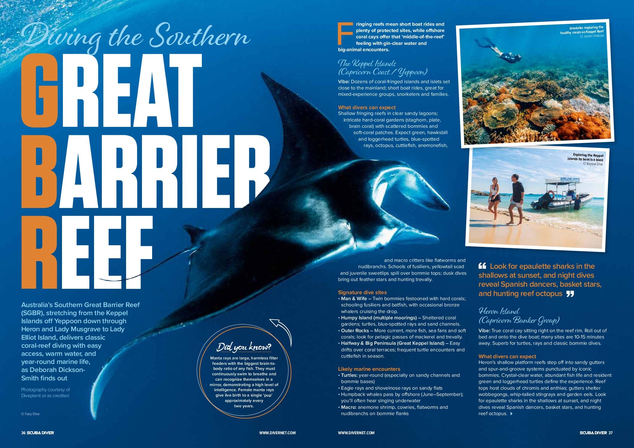 Scuba Diver ANZ Issue 89 Out Now