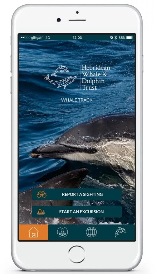 The Whale Track app (HWDT)