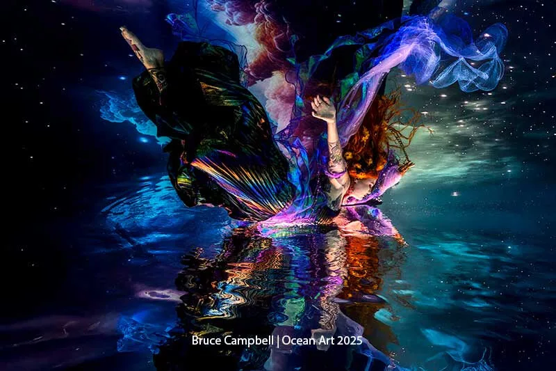 Taken with a Nikon Z8 +24-50mm @50mm with Nauticam WWL-C wet, Nauticam housing, Scrim modifiers using natural light. f/4, 1/320th, ISO 220 (Bruce Campbell / Ocean Art 2025)