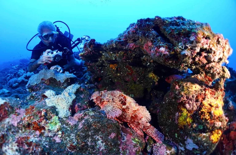 Diver with bearded scorpionfish, L’Ecole