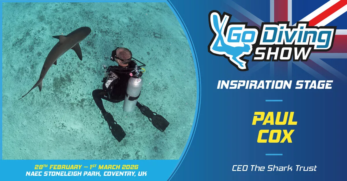 The Shark Trust – threats to sharks, and ongoing conservation efforts