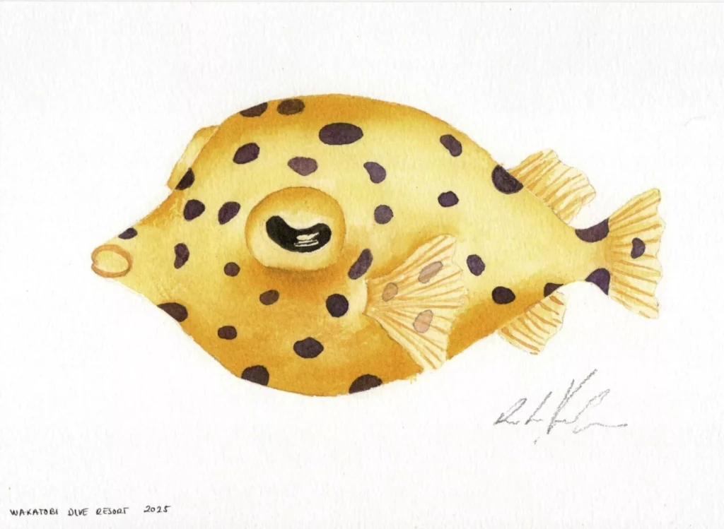 Waters of Wakatobi are the Ultimate Artists’ Muse 5 Wakatobi