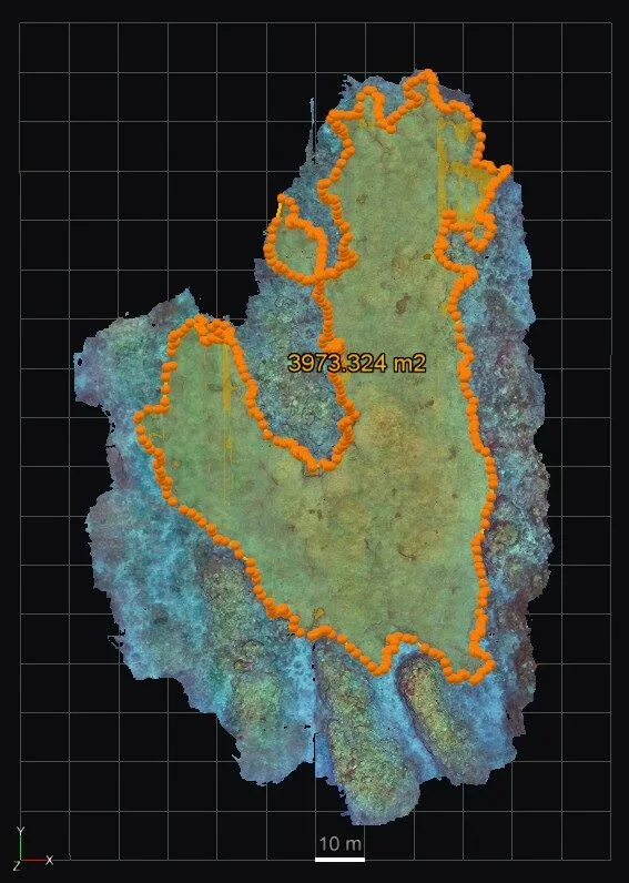 The area covered (Serena Mou)