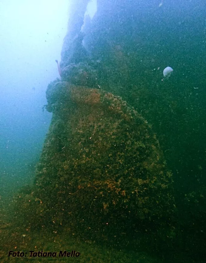 Rudder turned to starboard (Tatiana Mello)