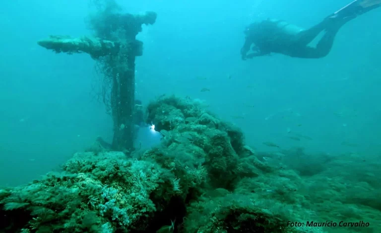 Wheel on the aft deck of the wreck (Shipwrecks In Brazil)
