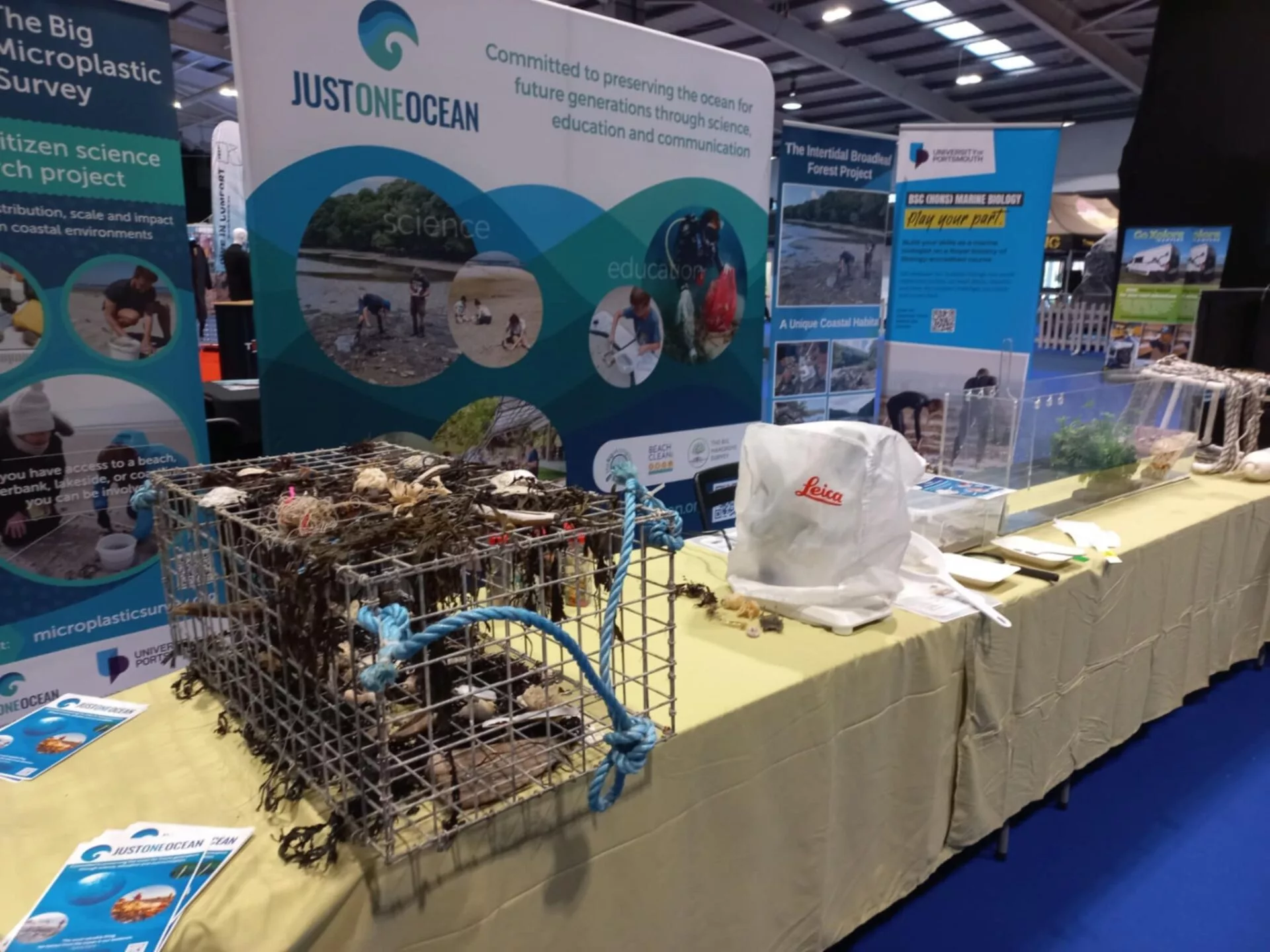 Dive into Just One Ocean’s marine biology zone at GO Diving Show