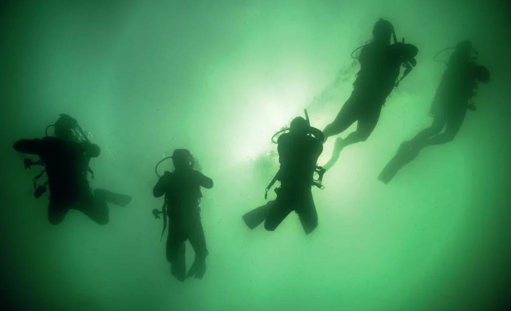 Avelo divers descending