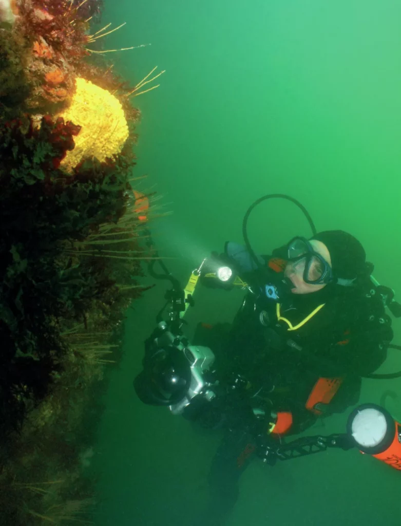 Avoiding the Low Air Blues: Essential Guide to Scuba Air Management and Diver Safety 6 A drysuit diver taking photos in UK waters, where cold temperatures can trigger the low air blues faster.