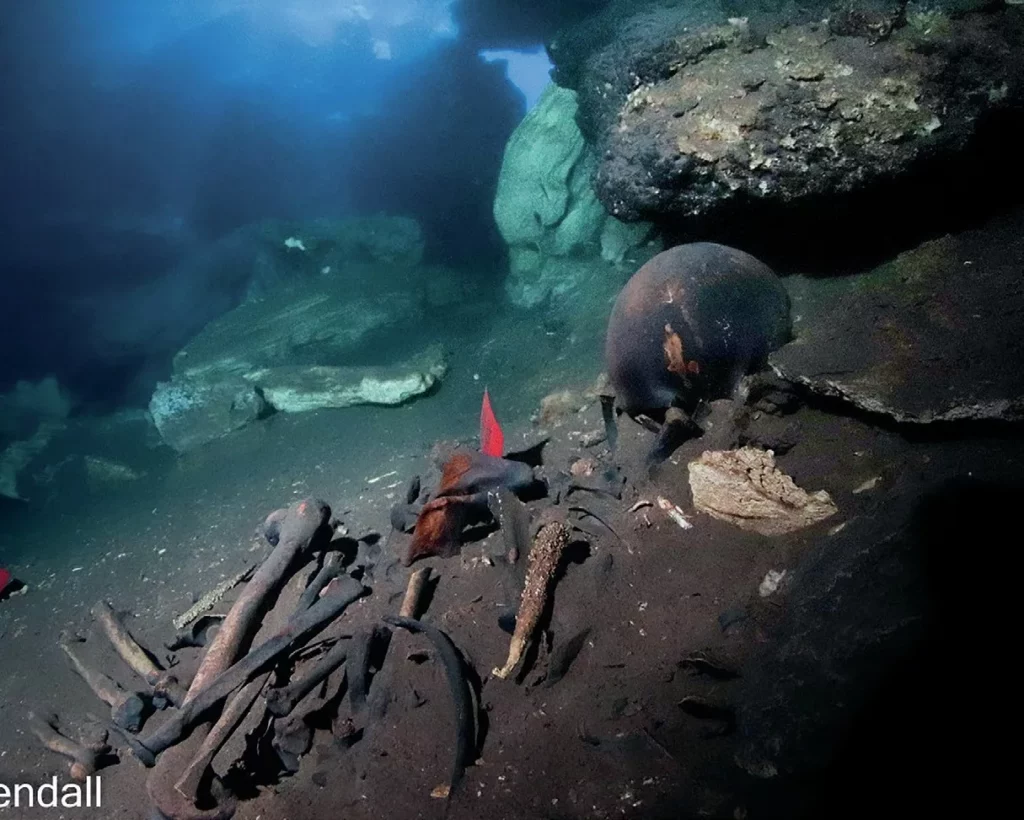 A collection of 11,000-year-old human remains and Pleistocene animal fossils scattered on the limestone floor of the underwater Cave of Bones.