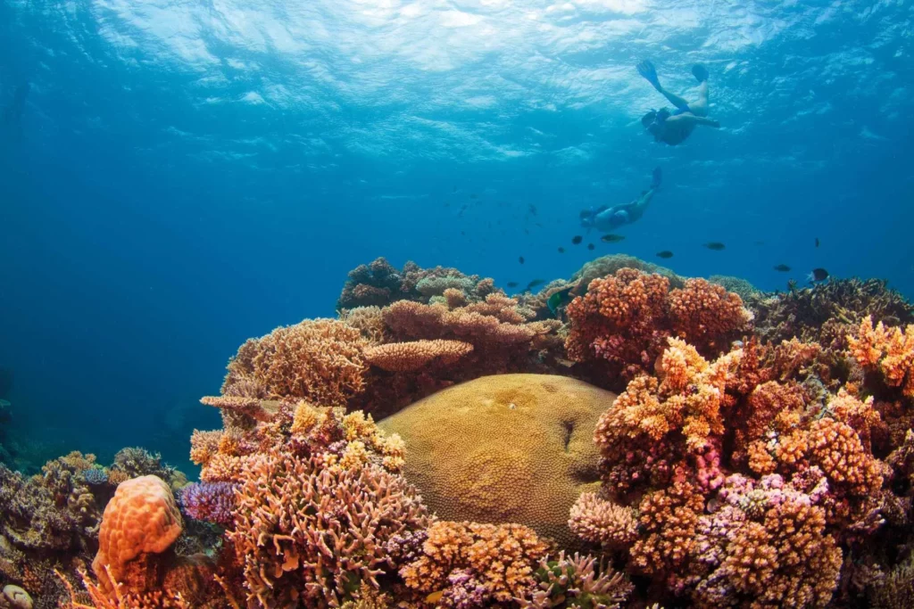Clam Gardens (Tourism & Events Queensland)