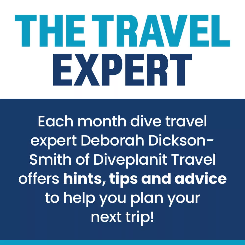 Deborah Dickson-Smith Diveplanit ad banner portrait
