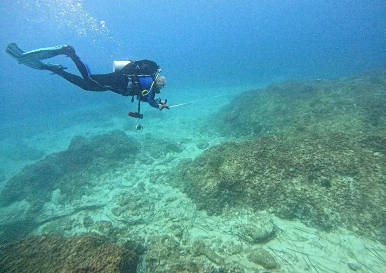 Diver at the wreck site (University of Warsaw)