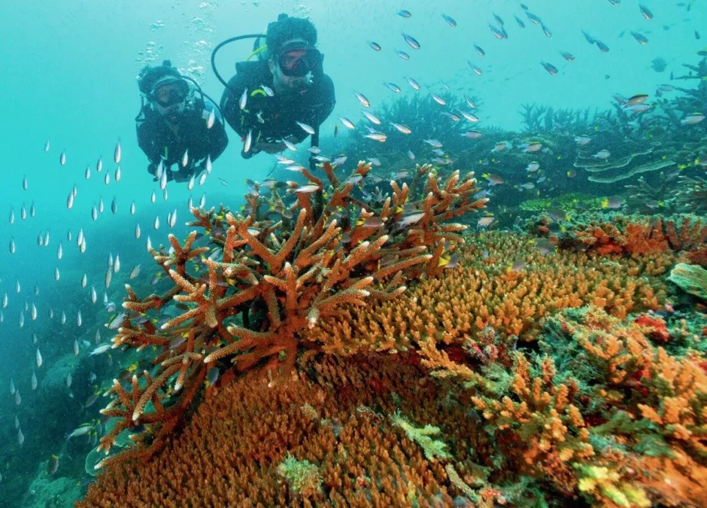 Divers exploring one of the many reefs of Heron Island on the Southern Great Barrier Reef