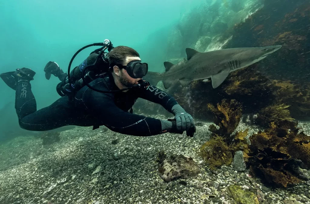 Diving a New Way: Avelo Scuba System