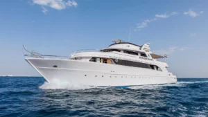 Depleted fleet: Golden Dolphin II
