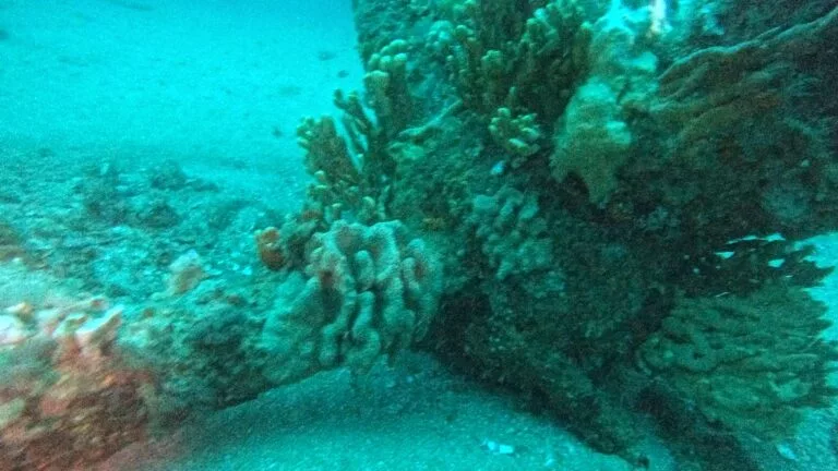 Close-up of the damaged propshaft (Duncan Patterson / GUE / Dive Centre Bondi)