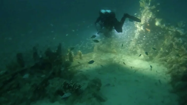 Most of the wreck-site is covered in sand but plenty of coal, the main cargo, remains visible (Duncan Patterson / GUE / Dive Centre Bondi)