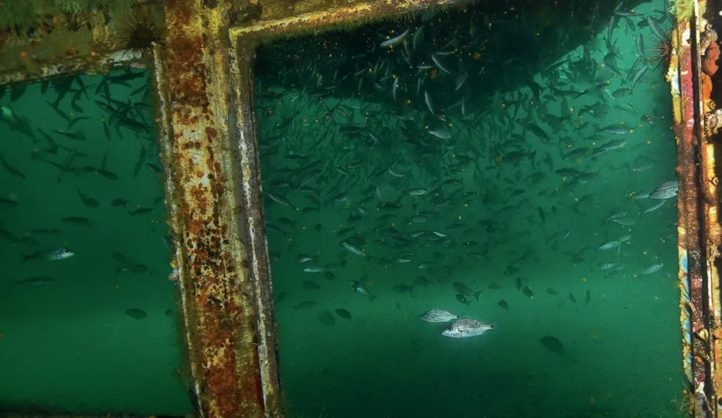 Looking out of the Cyclops’ bridge at 60ft depth in Destin, Florida 