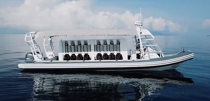 Speedboat from Sorong to Waisai