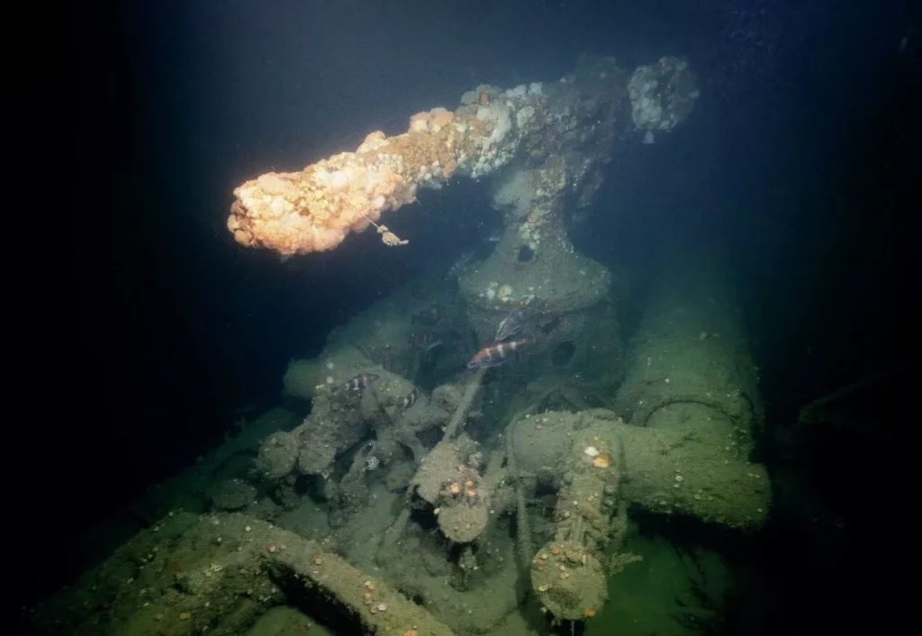 The upright and intact 88mm deck gun of the U58 submarine on the seabed at 270ft.