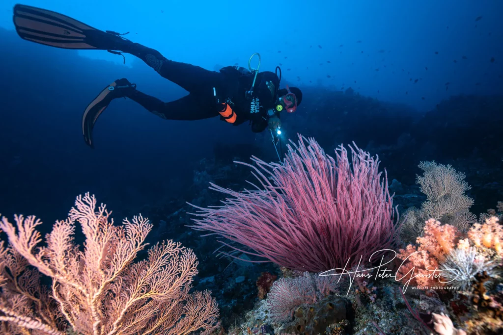 Paving the Way for Conservation in Raja Ampat 3 Papuan Dive Guide Hans Peter Ganster