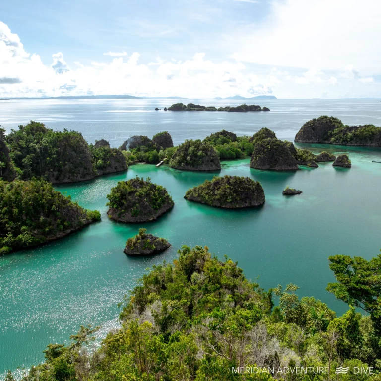 All about Raja Ampat and how to get there