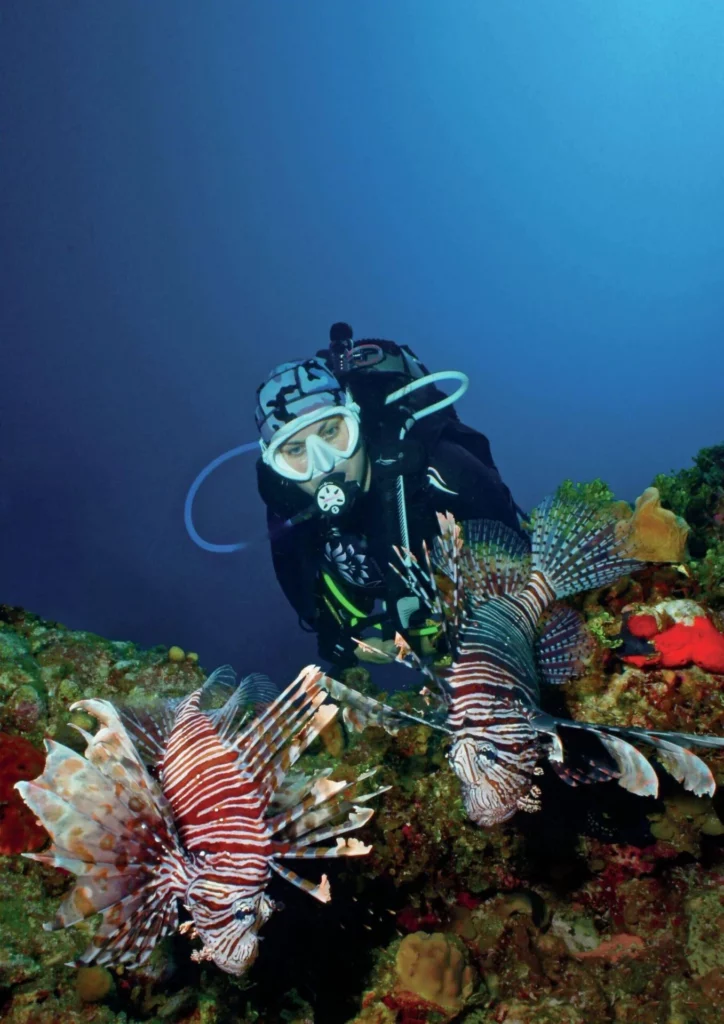 Avoiding the Low Air Blues: Essential Guide to Scuba Air Management and Diver Safety 1 A diver maintaining perfect buoyancy near lionfish; precise control is key to avoiding the low air blues.