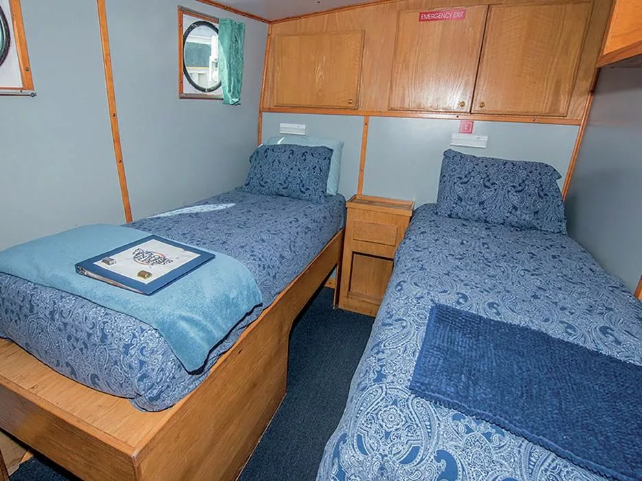 Diving Saba and St Kitts: Pinnacles, Wrecks, and Volcanic Wonders 7 A spacious and comfortable cabin aboard Caribbean Explorer II