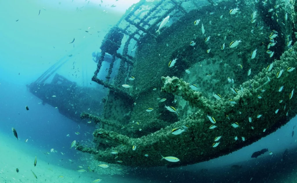 The bow and superstructure of the Ex-HMAS Tobruk artificial reef near Bundaberg.