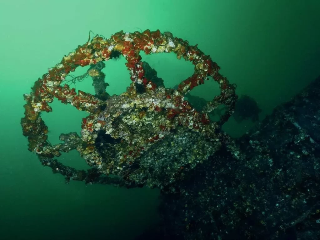 The emerald green water of the Florida Panhandle over the USS Oriskany