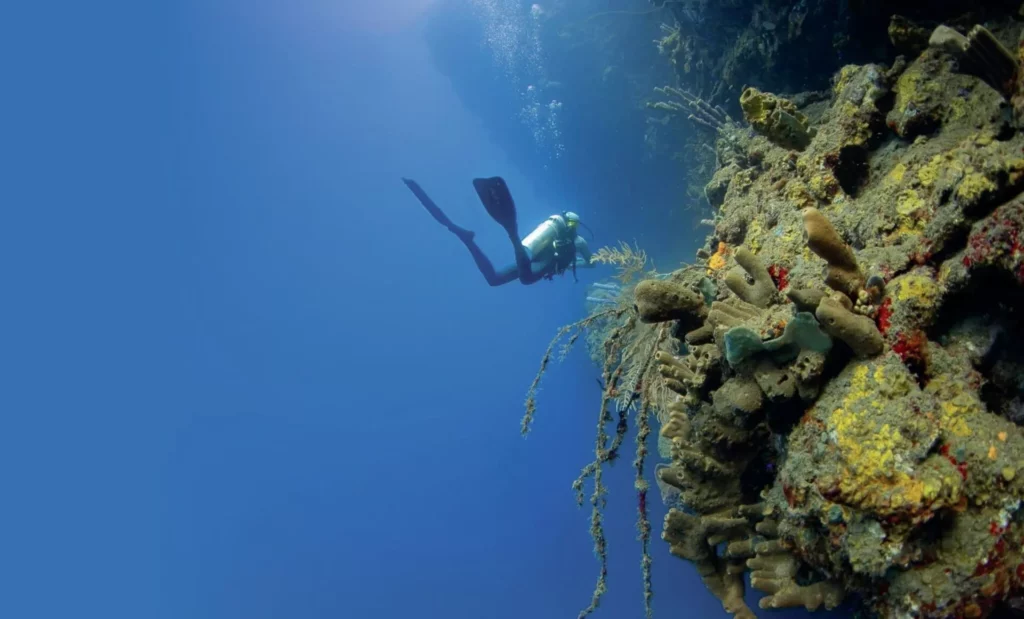 Diving Saba and St Kitts: Pinnacles, Wrecks, and Volcanic Wonders 14 The towering Diamond Rock in Saba, a world-class dive site known for its sheer walls and schooling fish, typical when diving Saba and St Kitts