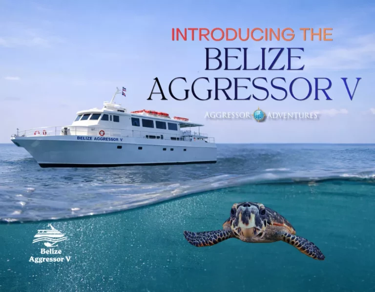 Aggressor Adventures