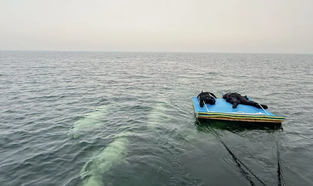 Participants wearing drysuits and masks on a raft, engaging in the unique "beluga boarding" eco-tourism activity.