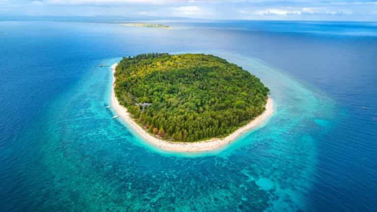 North Halmahera Has Got to Be Your Next Dive Destination