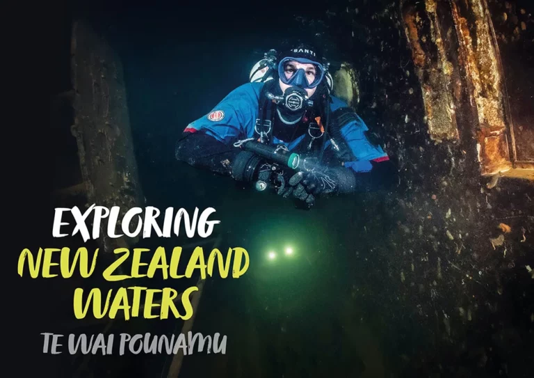 Scuba Diving New Zealand’s South Island: A Guide to Te Wai Pounamu’s Best Sites
