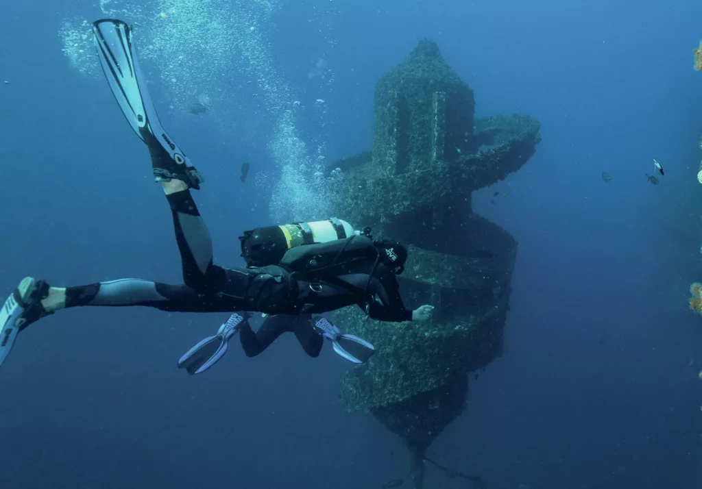 Diving with Harry Cottrell: The Rise of Gold Coast Dive Adventures 4 Scuba diver Harry Cottrell exploring the vibrant sites off the coast of the Gold Coast.