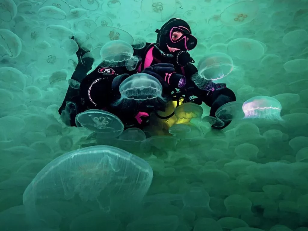 Q&A with Jennifer Idol: Diving Every 50 States 5 A breathtaking wide-angle shot of a diver surrounded by hundreds of translucent jellyfish.